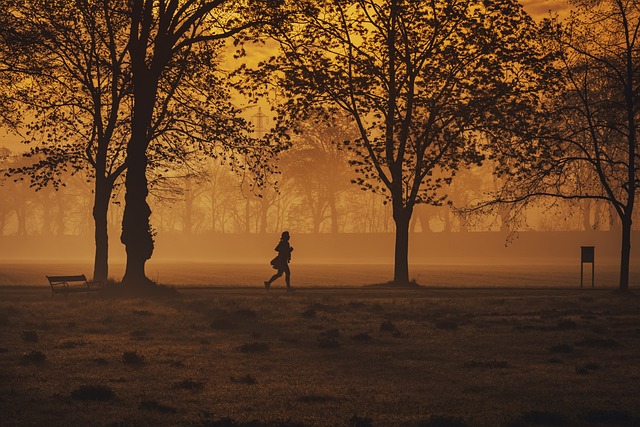 silhouette of jogger