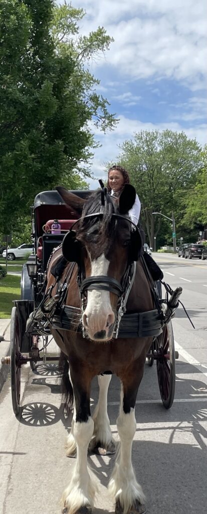 Horse and carriage