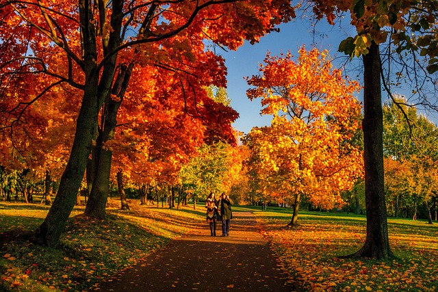 crimson fall foliage and walkers