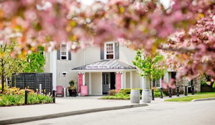 Trius Welcome Center with pink flowers